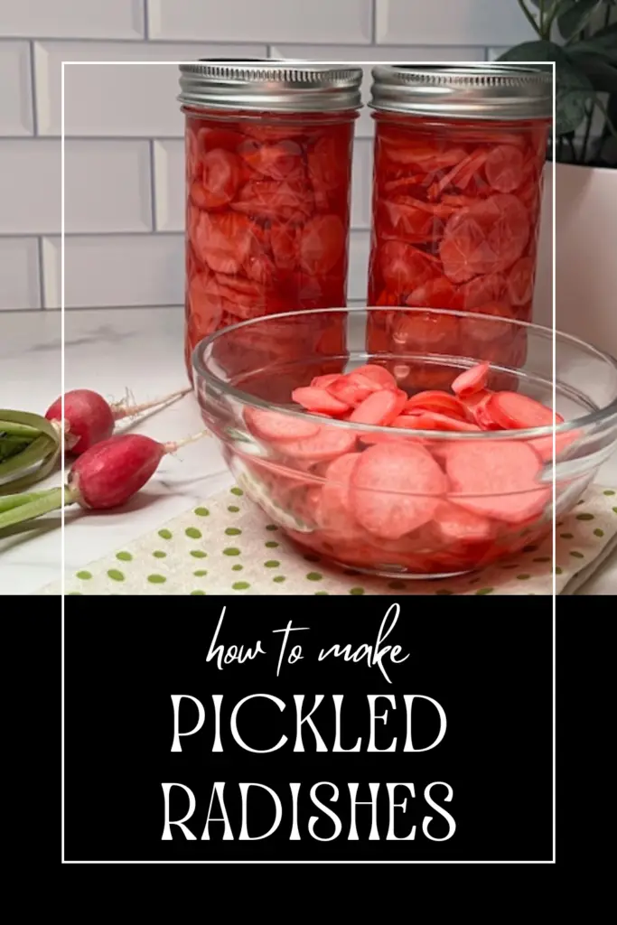 Elevate your dishes with our tangy and crunchy Pickled Radishes recipe. Simple to make and bursting with flavor, these pickled radishes are perfect for salads, sandwiches, and more. #PickledRadishes #PicklingRecipes #EasyRecipes #HomemadePickles #TangyTreats #HealthySnacks #FlavorfulFood #DIYPickling